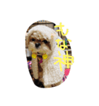 愛犬もなちゃん（個別スタンプ：9）
