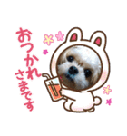 愛犬もなちゃん（個別スタンプ：10）