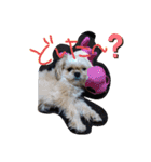 愛犬もなちゃん（個別スタンプ：14）