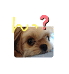 愛犬もなちゃん（個別スタンプ：16）