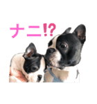 まるあおPART2（個別スタンプ：1）