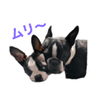 まるあおPART2（個別スタンプ：4）