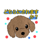 【ウルトラ多用途スタンプ】犬猫ハムちゃん（個別スタンプ：21）