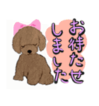 【ウルトラ多用途スタンプ】犬猫ハムちゃん（個別スタンプ：22）