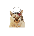 野良猫もみな、家族だよ（個別スタンプ：5）