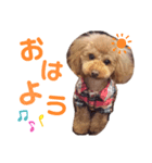 毎日もこちゃん（個別スタンプ：1）