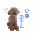 毎日もこちゃん（個別スタンプ：2）