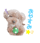 毎日もこちゃん（個別スタンプ：3）