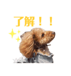 毎日もこちゃん（個別スタンプ：5）