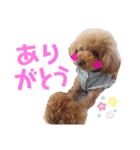 毎日もこちゃん（個別スタンプ：6）