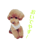 毎日もこちゃん（個別スタンプ：8）