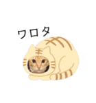Sirius Brown 2（個別スタンプ：18）