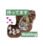 英語と日本語と薔薇と緑と（個別スタンプ：5）