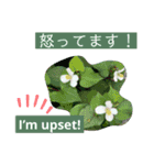 英語と日本語と薔薇と緑と（個別スタンプ：6）