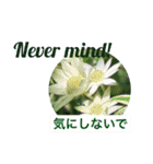 英語と日本語と薔薇と緑と（個別スタンプ：10）