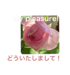 英語と日本語と薔薇と緑と（個別スタンプ：11）