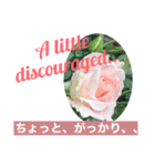 英語と日本語と薔薇と緑と（個別スタンプ：12）