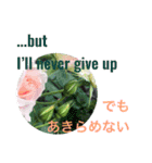 英語と日本語と薔薇と緑と（個別スタンプ：13）