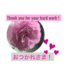 英語と日本語と薔薇と緑と（個別スタンプ：14）