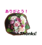 英語と日本語と薔薇と緑と（個別スタンプ：16）