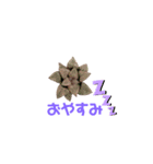 多肉であいさつ（個別スタンプ：3）