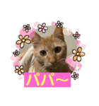 パパとぺぺ（個別スタンプ：2）