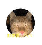 パパとぺぺ（個別スタンプ：3）