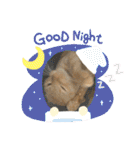 パパとぺぺ（個別スタンプ：12）