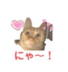 パパとぺぺ（個別スタンプ：17）