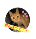 パパとぺぺ（個別スタンプ：22）