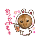 パパとぺぺ（個別スタンプ：23）