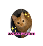 パパとぺぺ（個別スタンプ：26）