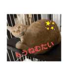 パパとぺぺ（個別スタンプ：27）