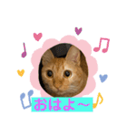 パパとぺぺ（個別スタンプ：29）