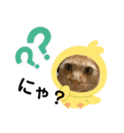 パパとぺぺ（個別スタンプ：30）
