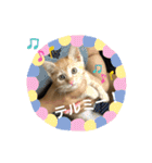 パパとぺぺ（個別スタンプ：31）