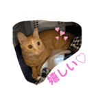 パパとぺぺ（個別スタンプ：34）