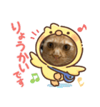 パパとぺぺ（個別スタンプ：38）