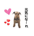 ウェルシュテリア♡ジェリーさんの1日(11)（個別スタンプ：14）