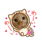 パパとぺぺ その3（個別スタンプ：2）