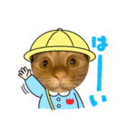 パパとぺぺ その3（個別スタンプ：3）
