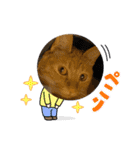 パパとぺぺ その3（個別スタンプ：14）
