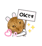 パパとぺぺ その3（個別スタンプ：16）
