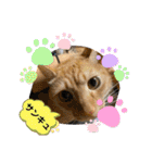 パパとぺぺ その3（個別スタンプ：25）