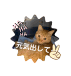 パパとぺぺ その3（個別スタンプ：31）