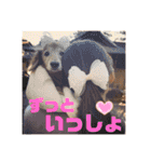 るーさま❤️（個別スタンプ：1）