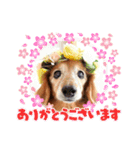 るーさま❤️（個別スタンプ：4）
