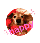 るーさま❤️（個別スタンプ：5）