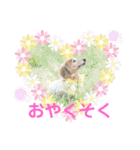 るーさま❤️（個別スタンプ：6）