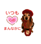 るーさま❤️（個別スタンプ：9）